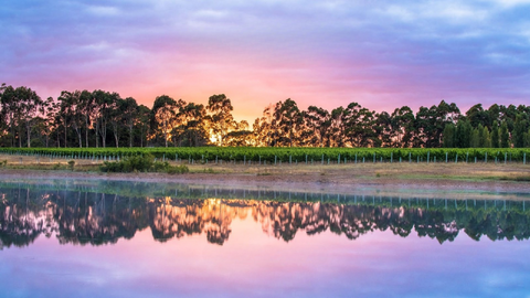 Stella Bella Margaret River