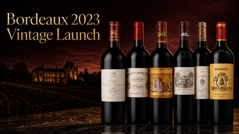 Bordeaux 2023 Vintage Wine in NZ