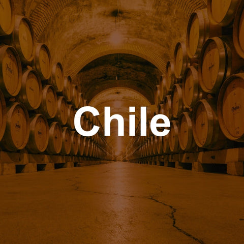 Chilean Wine
